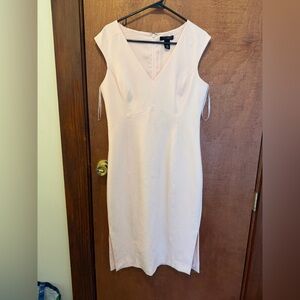 White House Black Market Blush Pink Garment